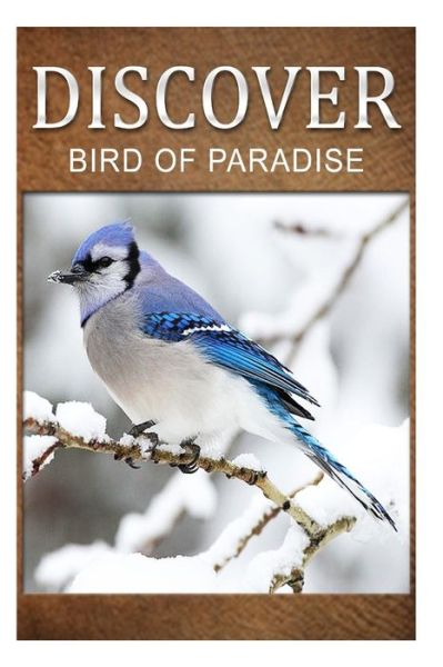 Cover for Discover Press · Birds of Paradise - Discover: Early Reader's Wildlife Photography Book (Pocketbok) (2014)