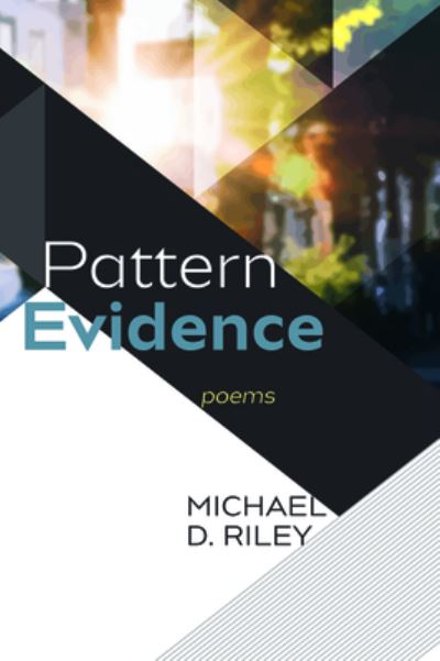 Cover for Michael D Riley · Pattern Evidence (Paperback Book) (2019)