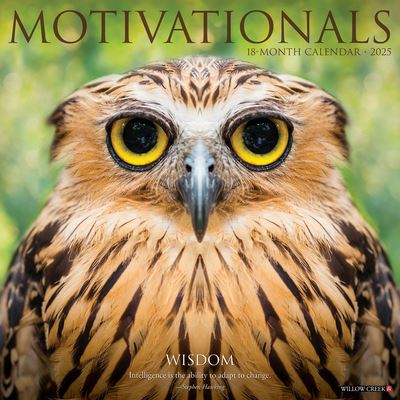 Willow Creek Press · Motivationals 2025 12 X 12 Wall Calendar (Calendar) (2024)