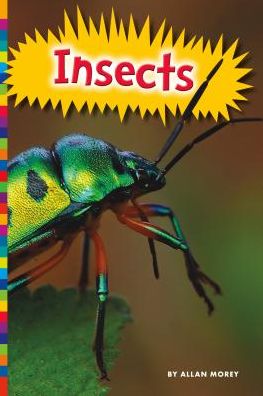 Insects - Allan Morey - Książki - Amicus - 9781625883049 - 1 sierpnia 2015