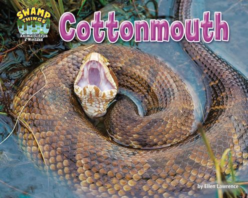 Cover for Ellen Lawrence · Cottonmouth (Book) (2020)