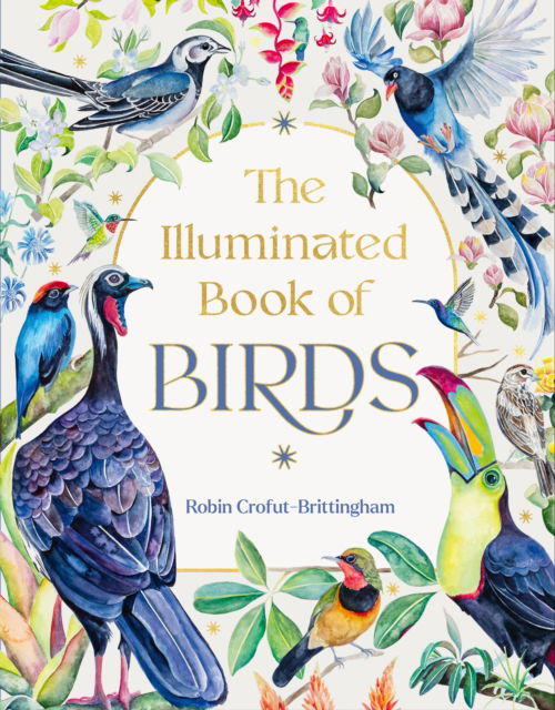 Cover for Robin Crofut-Brittingham · The Illuminated Book of Birds (Hardcover bog) (2025)