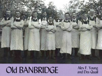 Old Banbridge - Alex Young - Books - Stenlake Publishing - 9781840332049 - June 15, 2002