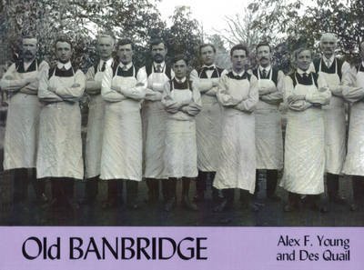 Old Banbridge - Alex Young - Livros - Stenlake Publishing - 9781840332049 - 15 de junho de 2002