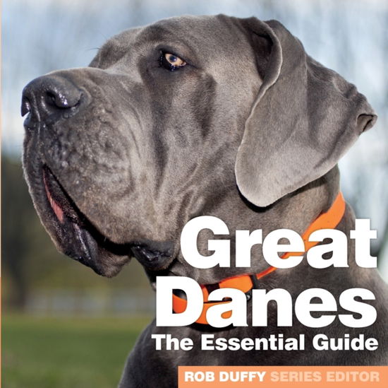 Cover for Robert Duffy · Great Danes (Paperback Book) (2020)