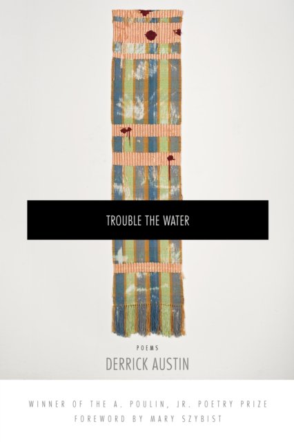 Cover for Derrick Austin · Trouble the Water (Paperback Bog) [First edition. edition] (2016)