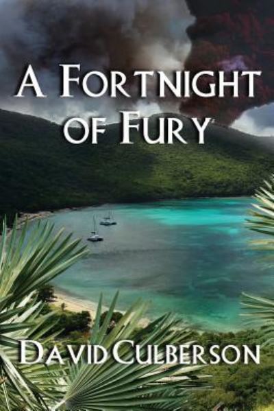 Cover for David Culberson · A Fortnight of Fury (Paperback Book) (2019)