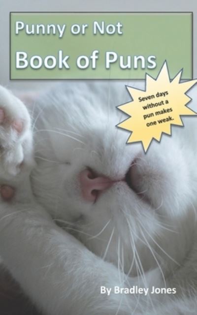 Punny or Not Book of Puns - Bradley Jones - Książki - Yowza Publishing - 9781951410049 - 28 lutego 2020