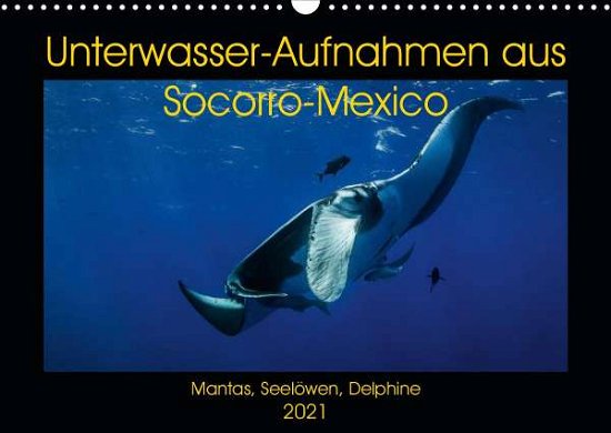Cover for Caballero · Unterwasser-Aufnahmen aus Soc (Book)