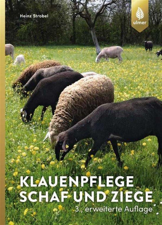 Cover for Strobel · Klauenpflege Schaf und Ziege (Book)