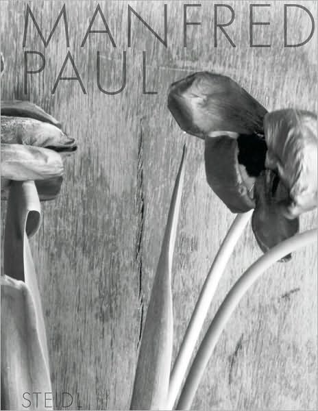 Cover for M. Paul · Manfred Paul: Still Life Photographs 1983-1985 (Gebundenes Buch) (2024)