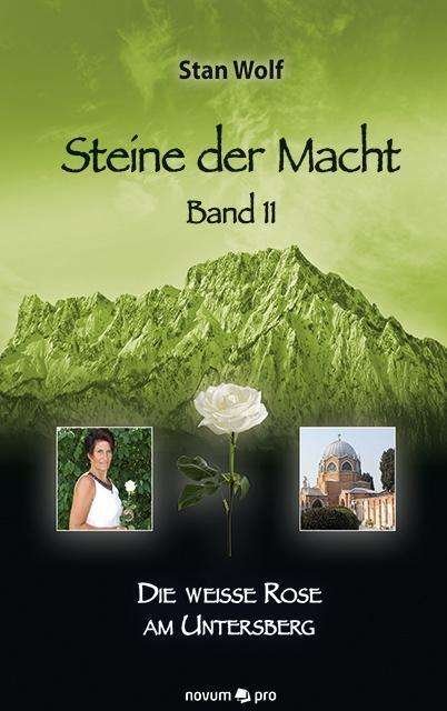 Cover for Wolf · Steine der Macht - Band 11 (Buch)