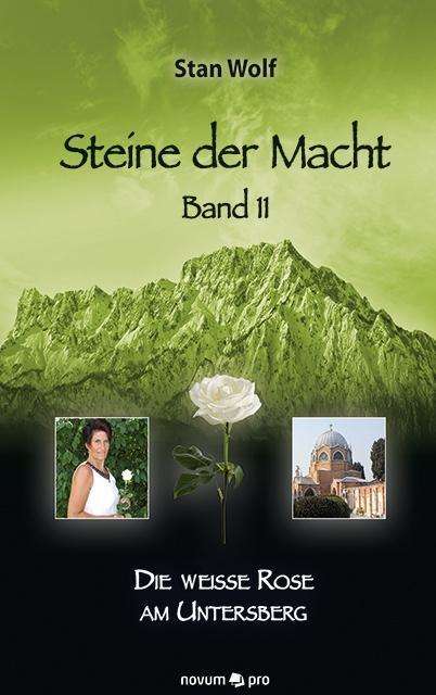 Cover for Wolf · Steine der Macht - Band 11 (Book)