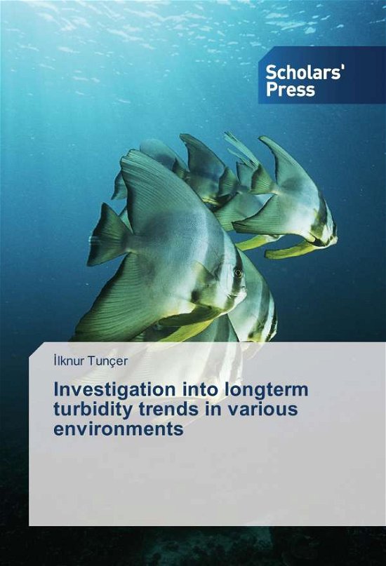 Cover for Tunçer · Investigation into longterm turb (Bog)