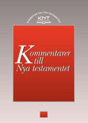 Cover for Birger Olsson · Fackteologi: KNT 19 : Johannesbreven (Bound Book) (2008)