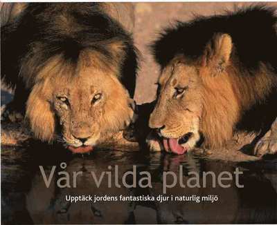 Cover for Marita Palm · Vår vilda planet : upptäck jordens fantastiska djur i naturlig miljö (Bound Book) (2012)