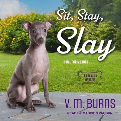 Cover for V M Burns · Sit, Stay, Slay (CD) (2020)