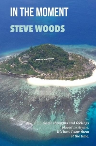Cover for Steve Woods · In The Moment (Pocketbok) (2021)
