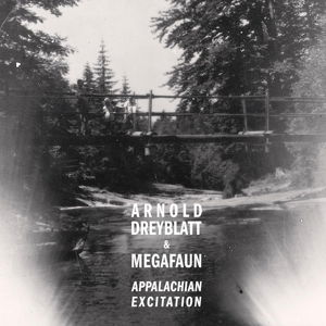 Appalachian Excitation - Arnold Dreyblatt - Musique - NORTHERN SPY - 0081159199050 - 17 septembre 2013