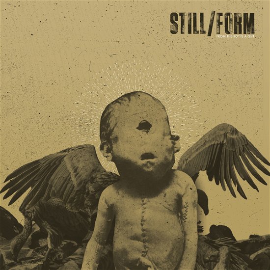 Cover for Still / Form · From the Rot is a Gift (CD) (2022)