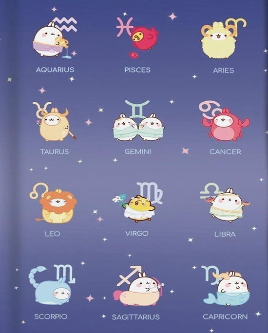 Cover for Notebook · Molang - Astrology Hardcover Notebook (N/A) (2024)