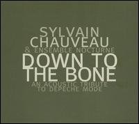 Cover for Sylvain Chauveau · Down to the Bone (CD) (2008)