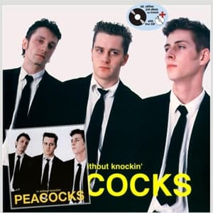 Cover for Peacocks · In Without KNOCKIN' (LP/CD) (2016)