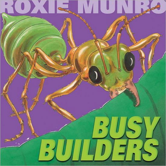 Cover for Roxie Munro · Busy Builders (Hardcover Book) (2012)