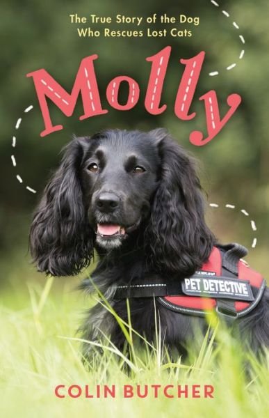 Cover for Colin Butcher · Molly: The True Story of the Dog Who Rescues Lost Cats (Hardcover Book) (2022)