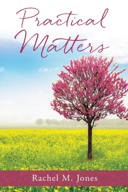 Cover for Rachel M Jones · Practical Matters (Paperback Book) (2016)