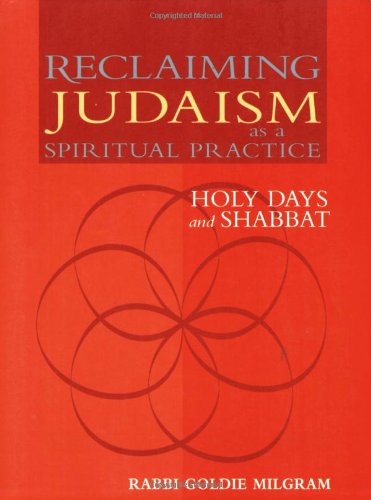 Reclaiming Judaism as a Spiritual Practice: Holy Days and Shabbat - Goldie Milgram - Books - Jewish Lights Publishing - 9781580232050 - July 1, 2004