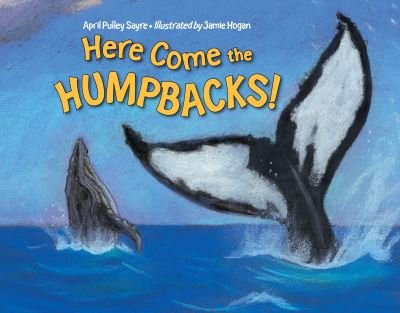 Cover for April Pulley Sayre · Here Come the Humpbacks! (Hardcover Book) (2013)