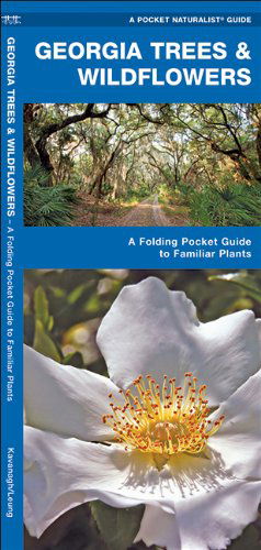 Cover for James Kavanagh · Georgia Trees &amp; Wildflowers: a Folding Pocket Guide to Familiar Species (Pocket Naturalist Guide Series) (Pamflet) [1st edition] (2017)