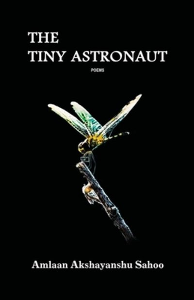 Cover for Amlaan Akshayanshu Sahoo · The Tiny Astronaut (Paperback Bog) (2020)