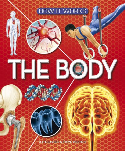 Cover for Kate Barnes · How It Works: The Body - How It Works (Hardcover Book) (2022)