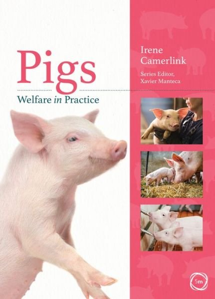 Cover for Irene Camerlink · Pigs Welfare in Practice - Welfare in Practice (Paperback Book) (2020)