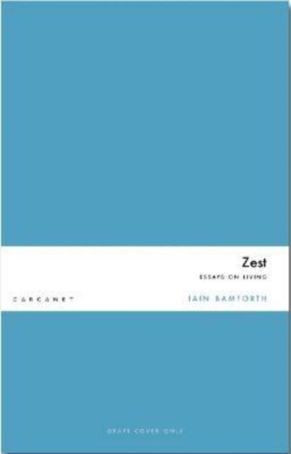 Cover for Iain Bamforth · Zest: Essays on the Art of Living (Paperback Book) (2022)