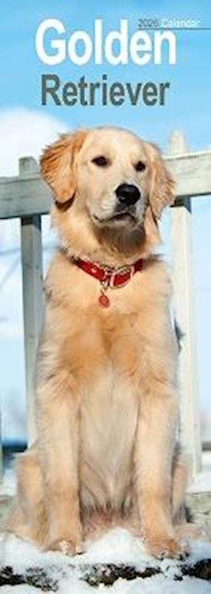 Cover for Golden Retriever Slim Calendar 2026  Dog Breed Slimline Calendar - 12 Month (Calendar) (2025)