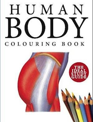 Cover for Peter Abrahams · Human Body Colouring Book: Human Anatomy in 215 Illustrations (Paperback Book) (2023)