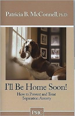 Cover for Patricia Mcconnell · Ill Be Home Soon (Paperback Book) (2000)