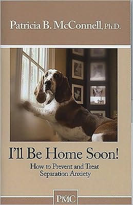 Cover for Patricia Mcconnell · Ill Be Home Soon (Paperback Book) (2000)