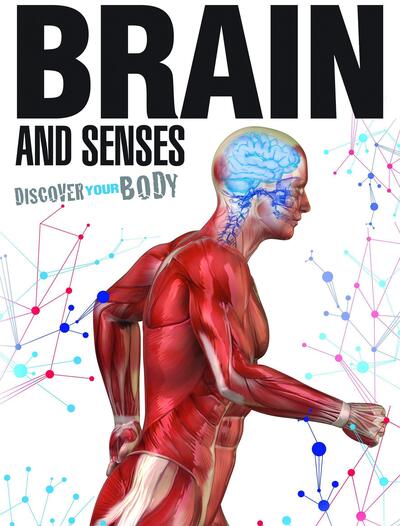 Cover for Jen Green · Brain and Senses - Discover Your Body (Hardcover Book) (2015)