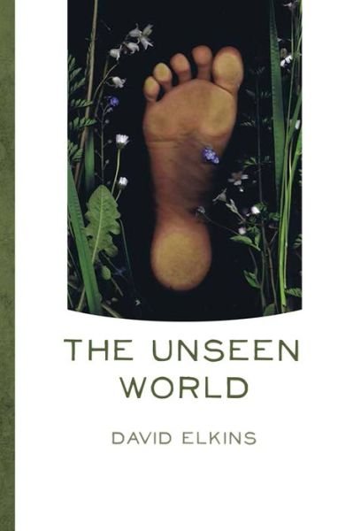 Cover for Ca · The Unseen World (Pocketbok) (2013)