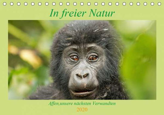 Cover for Kärcher · In freier Natur Affen, unsere n (Book)