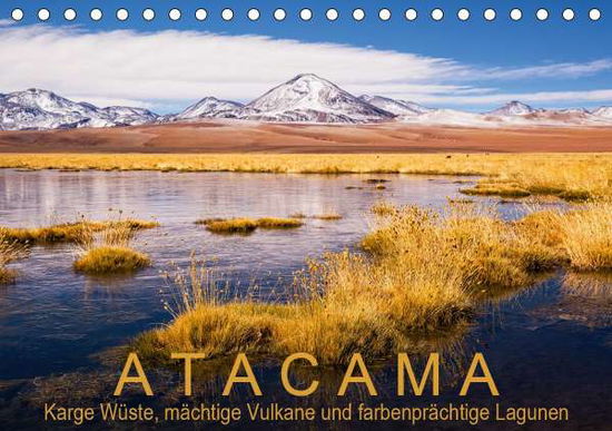 Atacama: Karge Wüste, mächtige Vul - Aust - Książki -  - 9783672115050 - 