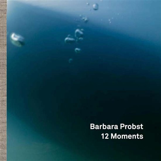 Cover for Robert Hobbs · Barbara Probst:12 Moments (Hardcover Book) (2016)