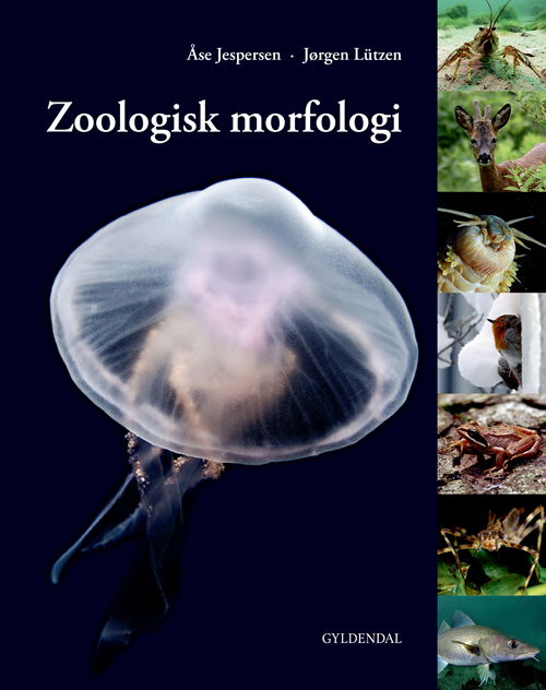 Cover for Åse Jespersen; Jørgen Lützen · Zoologisk morfologi (Poketbok) [5:e utgåva] (2019)