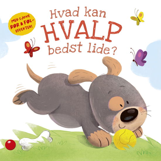 Hvad kan Hvalp bedst lide? - - Livros - Forlaget Bolden - 9788772056050 - 25 de outubro de 2021