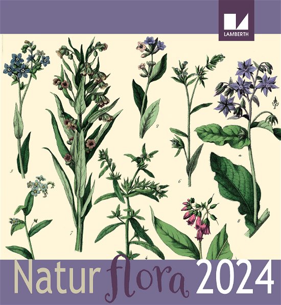 Cover for Natur - Flora kalender 2024 (Spiralbog) [1. udgave] (2023)