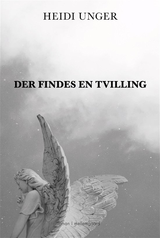 Cover for Heidi Unger · Der findes en tvilling (Sewn Spine Book) [1. Painos] (2024)